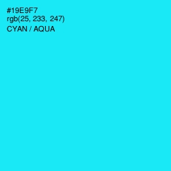 #19E9F7 - Cyan / Aqua Color Image